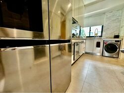 111 Emerald Hill (D9), Apartment #578690641